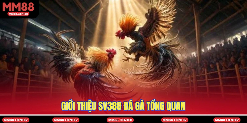 Giới thiệu SV388 Đá Gà tổng quan